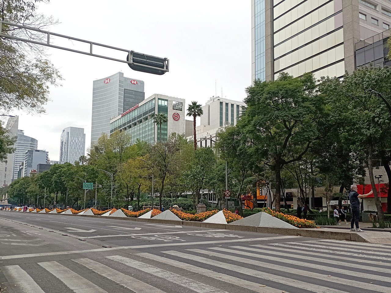 Paseo de la Reforma in Mexico City on an overcast day, with a planted median, tall trees and office towers